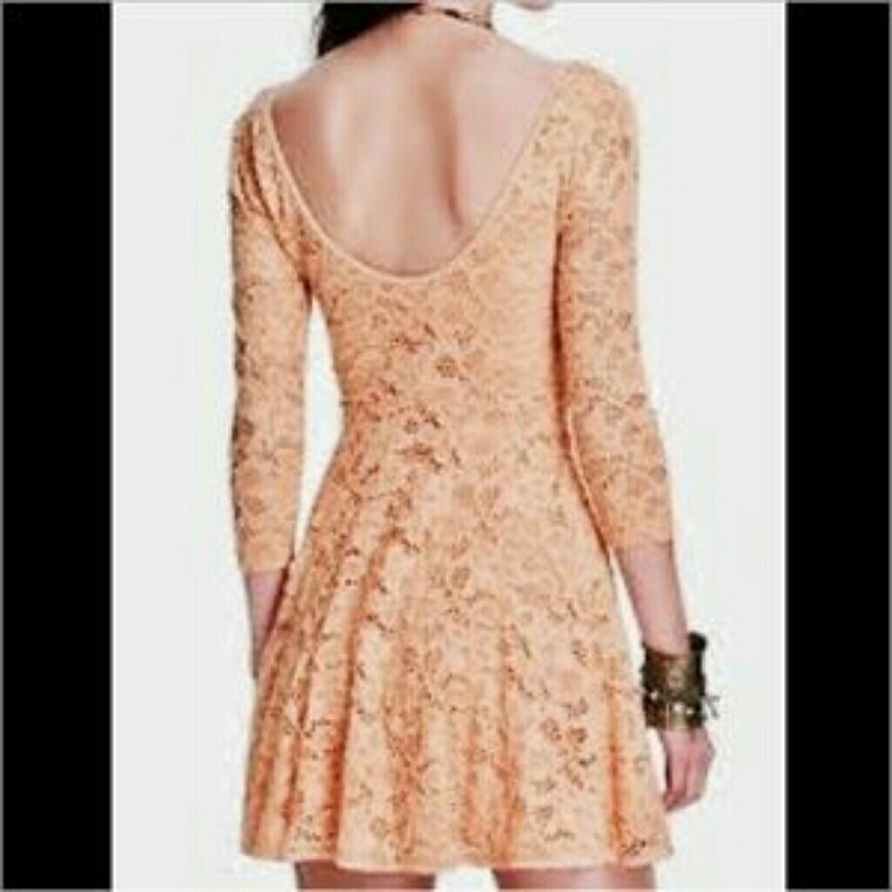 Free People Rose Garden Pink Lace Dress Medium